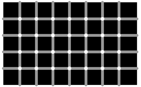 Scintillating Grid Illusion