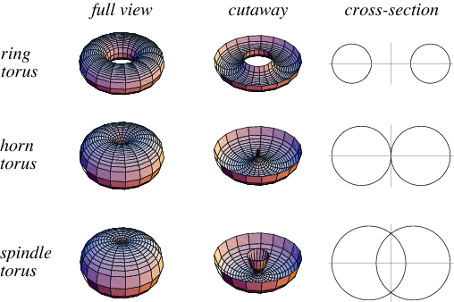 torus ring