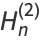 H_n^((2))