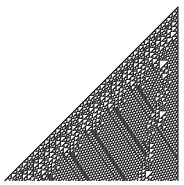 Rule 110 after 250 iterations