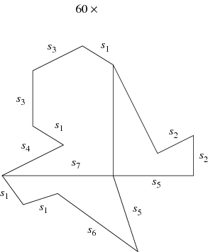Pentagonal Prism 6-Compound -- from Wolfram MathWorld