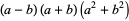 (a-b)(a+b)(a^2+b^2)