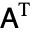 A^(T)