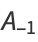 A_(-1)