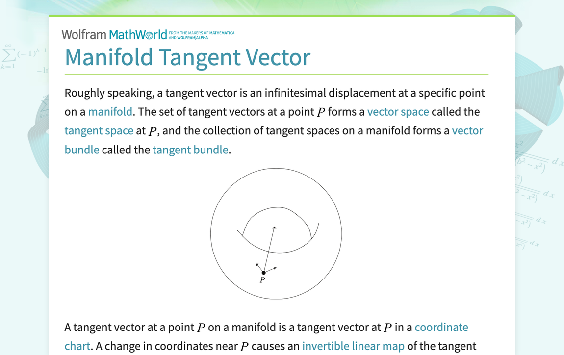 Vector Space Manifold Manifolds: Studying Manifolds With Basis