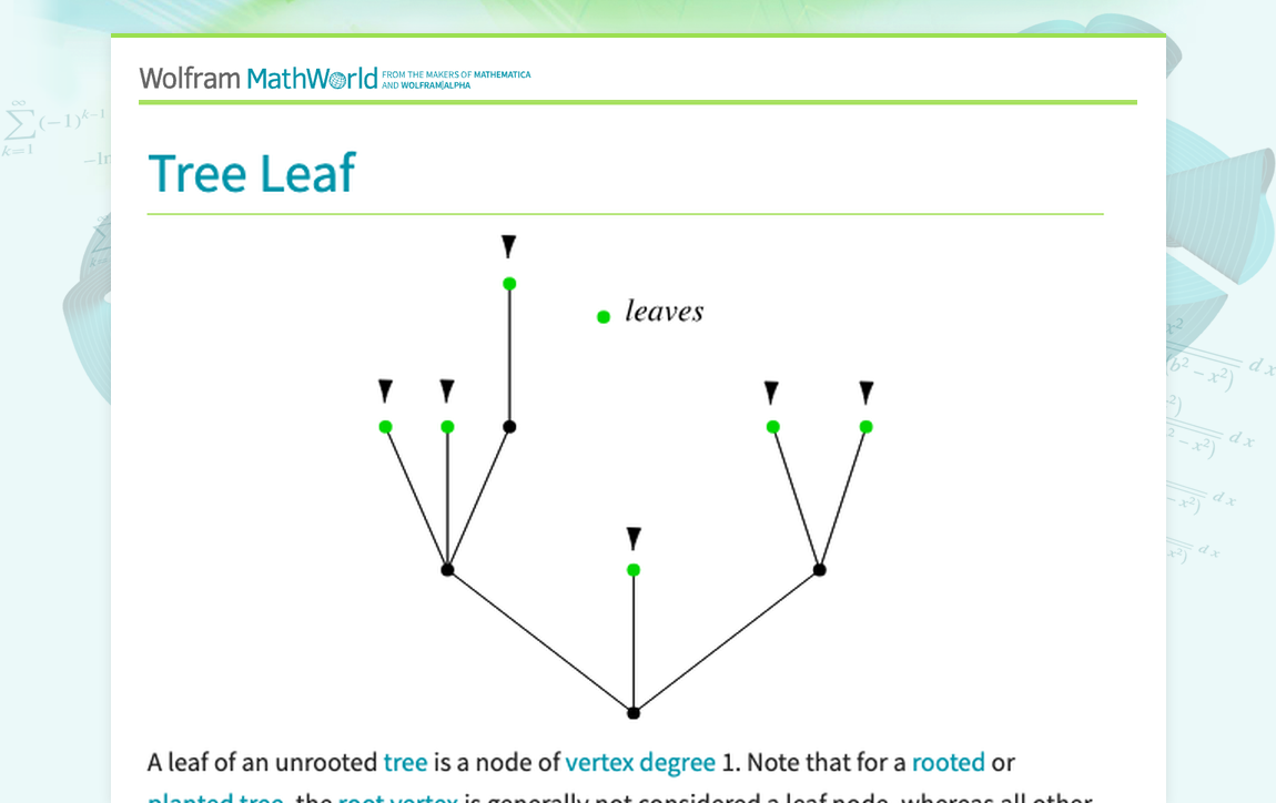 Tree Leaf From Wolfram MathWorld Tree Leaf From Wolfram MathWorld